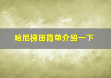 哈尼梯田简单介绍一下