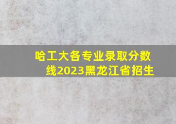 哈工大各专业录取分数线2023黑龙江省招生