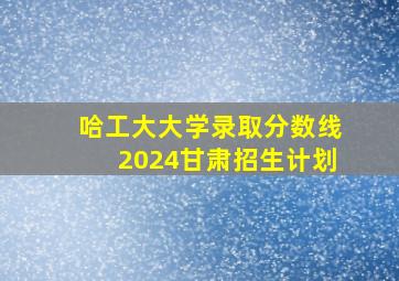 哈工大大学录取分数线2024甘肃招生计划