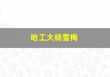 哈工大杨雪梅