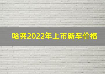 哈弗2022年上市新车价格