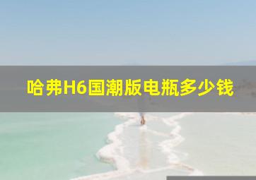 哈弗H6国潮版电瓶多少钱