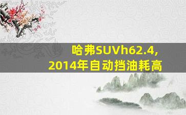 哈弗SUVh62.4,2014年自动挡油耗高