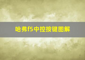 哈弗f5中控按键图解