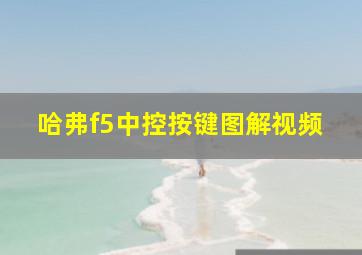 哈弗f5中控按键图解视频