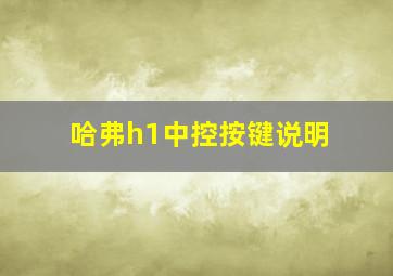 哈弗h1中控按键说明