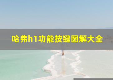 哈弗h1功能按键图解大全