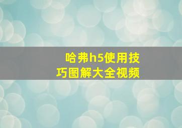 哈弗h5使用技巧图解大全视频