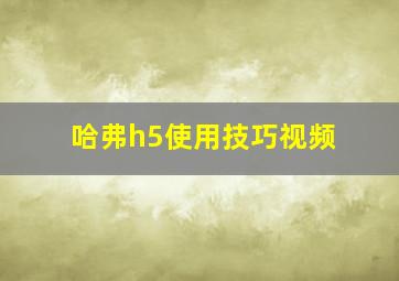 哈弗h5使用技巧视频