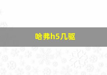 哈弗h5几驱