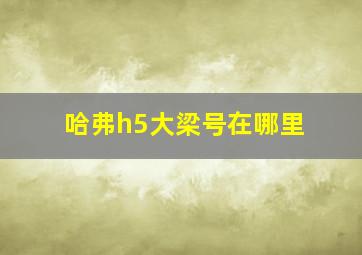 哈弗h5大梁号在哪里