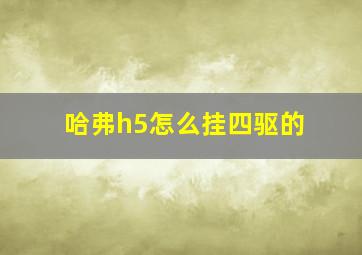 哈弗h5怎么挂四驱的