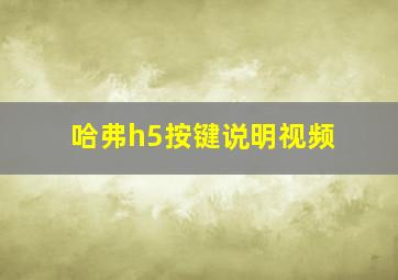 哈弗h5按键说明视频