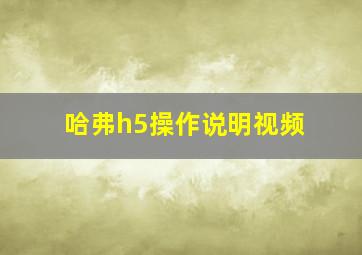 哈弗h5操作说明视频