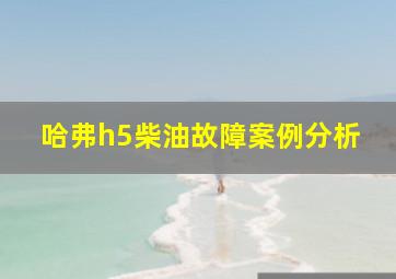 哈弗h5柴油故障案例分析