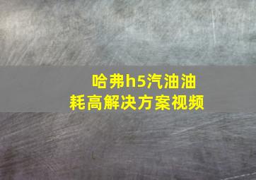 哈弗h5汽油油耗高解决方案视频