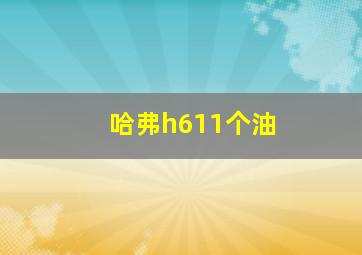 哈弗h611个油