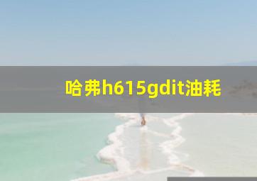 哈弗h615gdit油耗