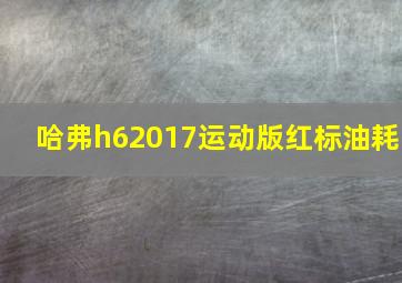 哈弗h62017运动版红标油耗