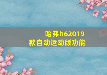 哈弗h62019款自动运动版功能