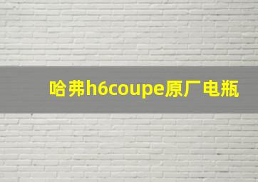 哈弗h6coupe原厂电瓶