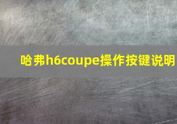 哈弗h6coupe操作按键说明