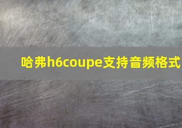 哈弗h6coupe支持音频格式