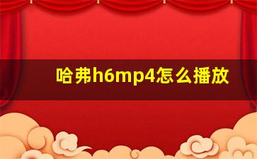 哈弗h6mp4怎么播放