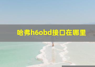 哈弗h6obd接口在哪里