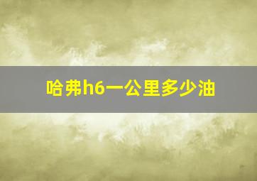 哈弗h6一公里多少油