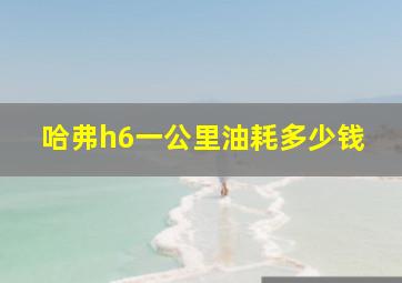 哈弗h6一公里油耗多少钱