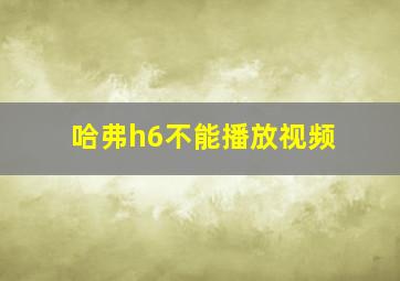 哈弗h6不能播放视频