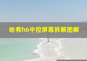 哈弗h6中控屏幕拆解图解