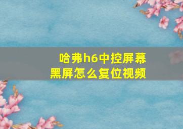 哈弗h6中控屏幕黑屏怎么复位视频