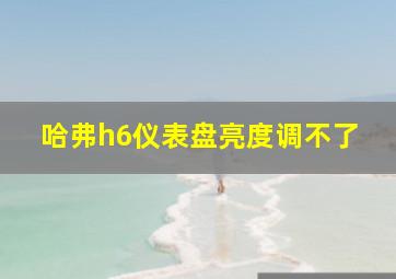 哈弗h6仪表盘亮度调不了