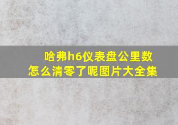 哈弗h6仪表盘公里数怎么清零了呢图片大全集