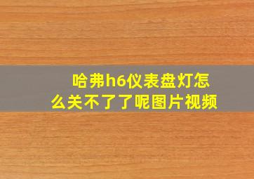 哈弗h6仪表盘灯怎么关不了了呢图片视频