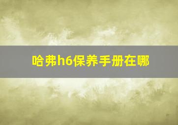 哈弗h6保养手册在哪