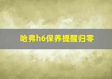 哈弗h6保养提醒归零