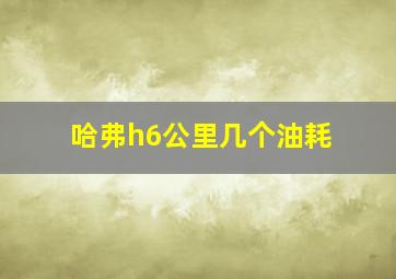 哈弗h6公里几个油耗