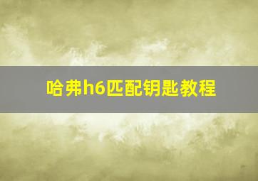 哈弗h6匹配钥匙教程