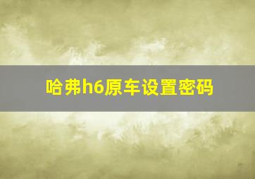 哈弗h6原车设置密码