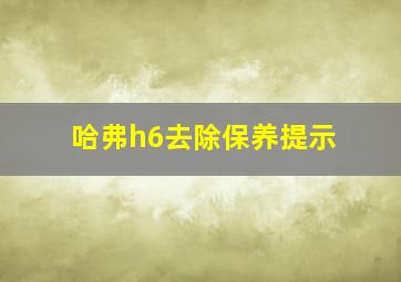 哈弗h6去除保养提示