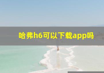 哈弗h6可以下载app吗