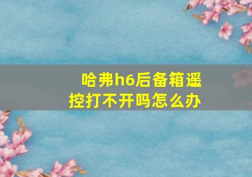 哈弗h6后备箱遥控打不开吗怎么办