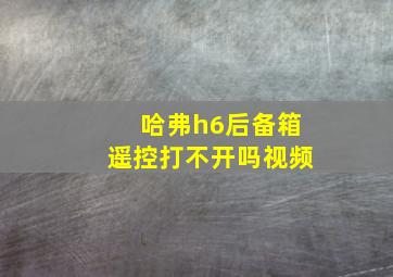 哈弗h6后备箱遥控打不开吗视频