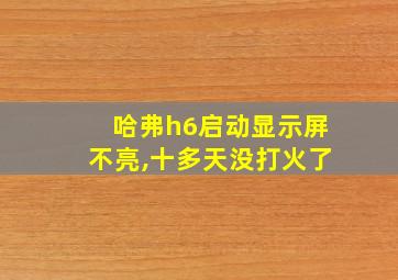 哈弗h6启动显示屏不亮,十多天没打火了