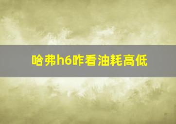 哈弗h6咋看油耗高低