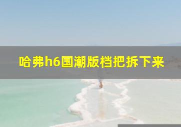 哈弗h6国潮版档把拆下来