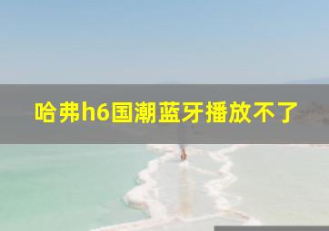 哈弗h6国潮蓝牙播放不了